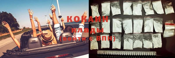 прущие грибы Семилуки